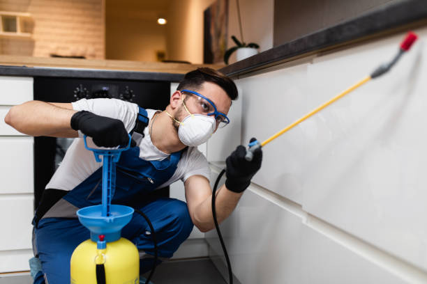 Best Exterminator Services  in Bernie, MO