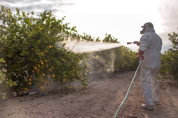 Best Best Pest Control Companies  in Bernie, MO