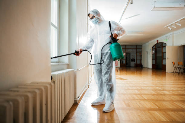 Best Wildlife Control Services  in Bernie, MO
